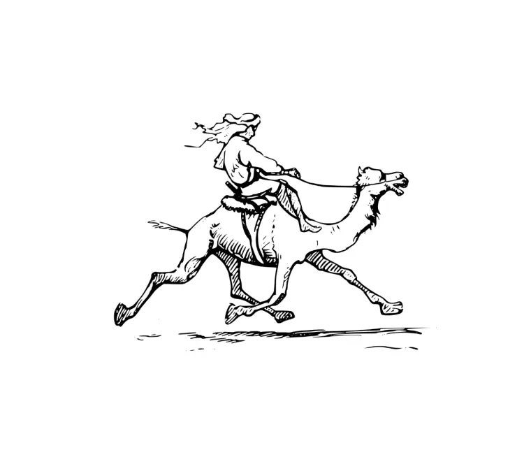 Bornelabs Subscription