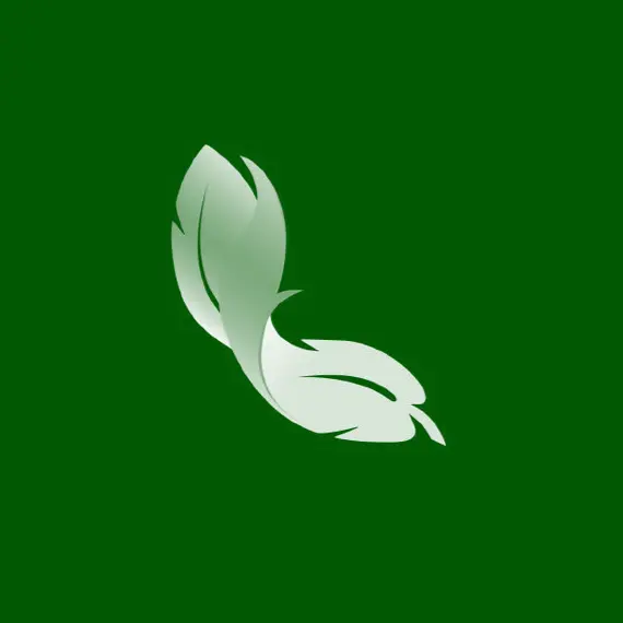 Our Minds Mental Health Platform 