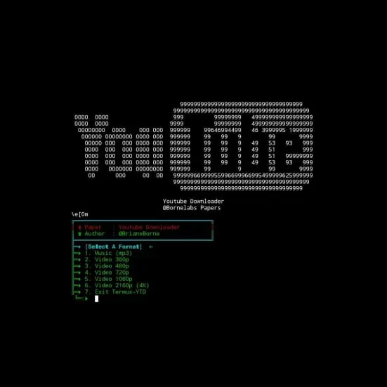 Youtube Downloader - Bornelabs Papers